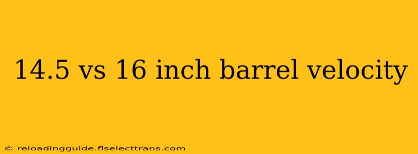 14.5 vs 16 inch barrel velocity