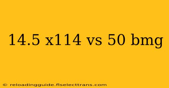 14.5 x114 vs 50 bmg