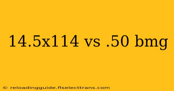 14.5x114 vs .50 bmg