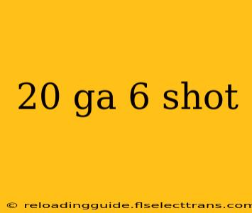 20 ga 6 shot