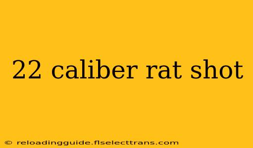 22 caliber rat shot