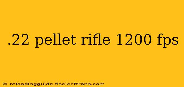 .22 pellet rifle 1200 fps