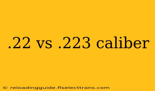 .22 vs .223 caliber