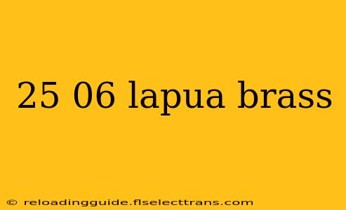 25 06 lapua brass