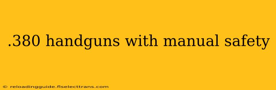 .380 handguns with manual safety