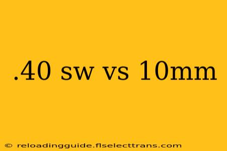 .40 sw vs 10mm