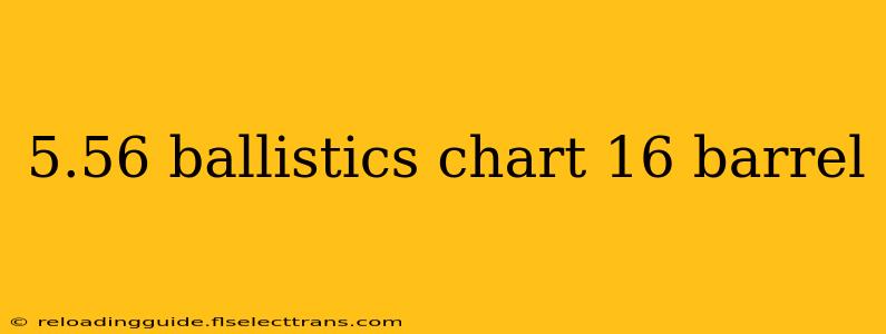 5.56 ballistics chart 16 barrel