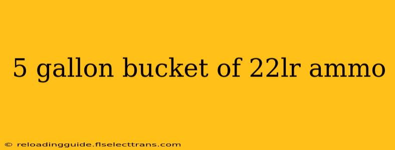 5 gallon bucket of 22lr ammo