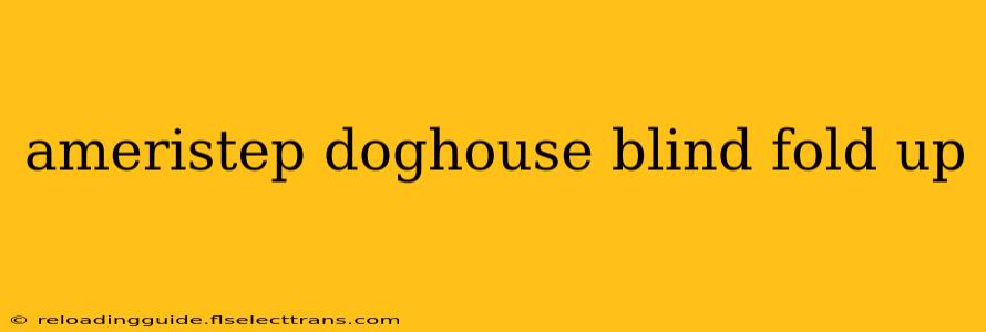 ameristep doghouse blind fold up