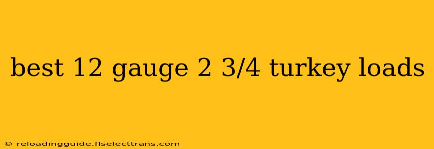 best 12 gauge 2 3/4 turkey loads