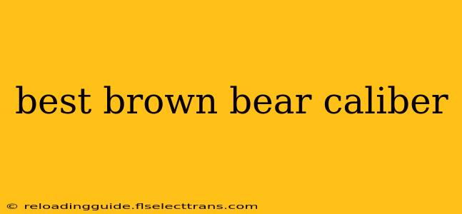 best brown bear caliber