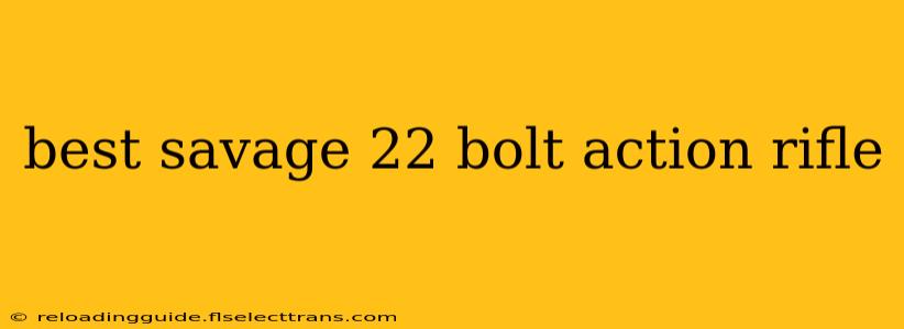 best savage 22 bolt action rifle