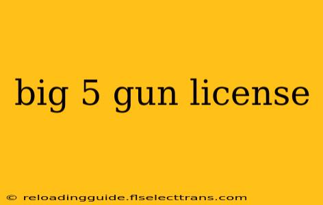 big 5 gun license