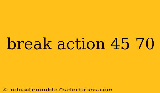 break action 45 70