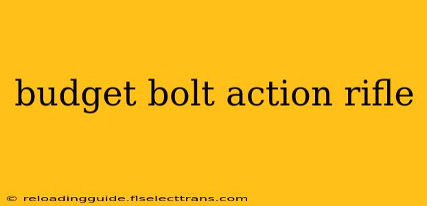 budget bolt action rifle