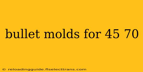 bullet molds for 45 70