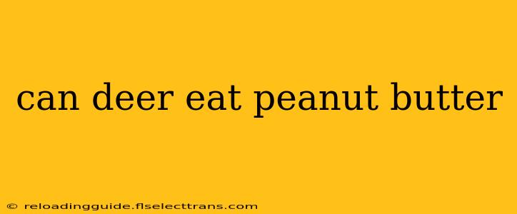 can deer eat peanut butter