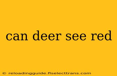 can deer see red