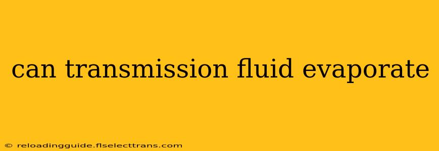 can transmission fluid evaporate