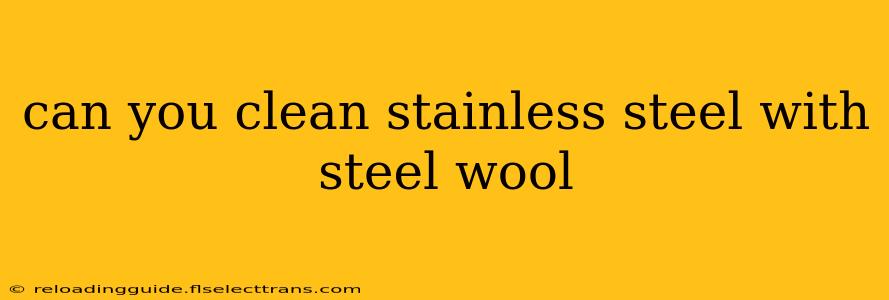 can you clean stainless steel with steel wool