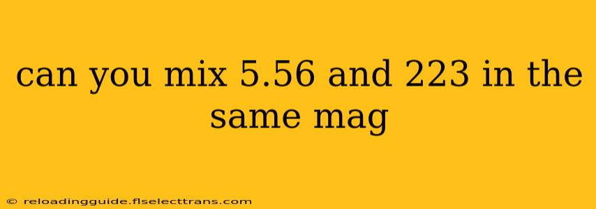 can you mix 5.56 and 223 in the same mag