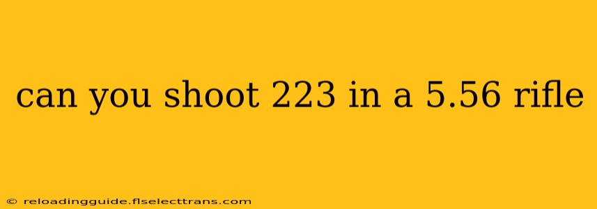 can you shoot 223 in a 5.56 rifle