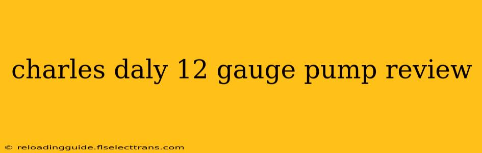 charles daly 12 gauge pump review