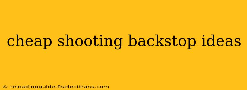 cheap shooting backstop ideas