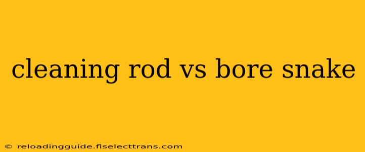 cleaning rod vs bore snake