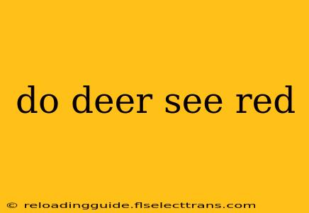 do deer see red