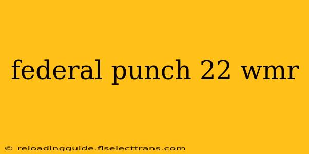 federal punch 22 wmr