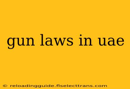 gun laws in uae