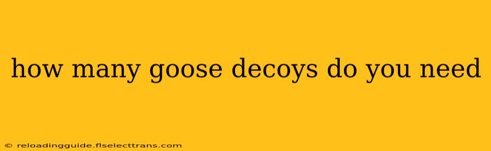 how many goose decoys do you need