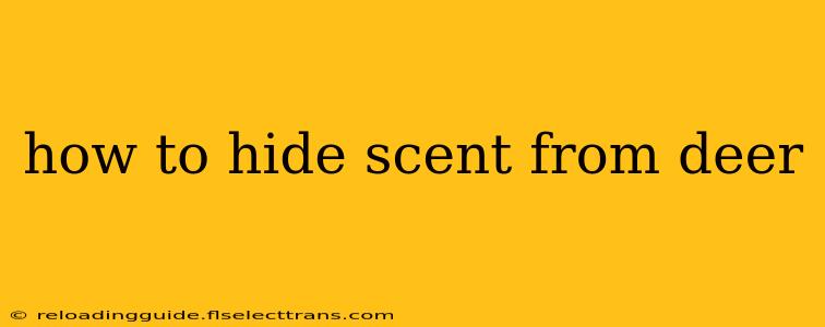 how to hide scent from deer