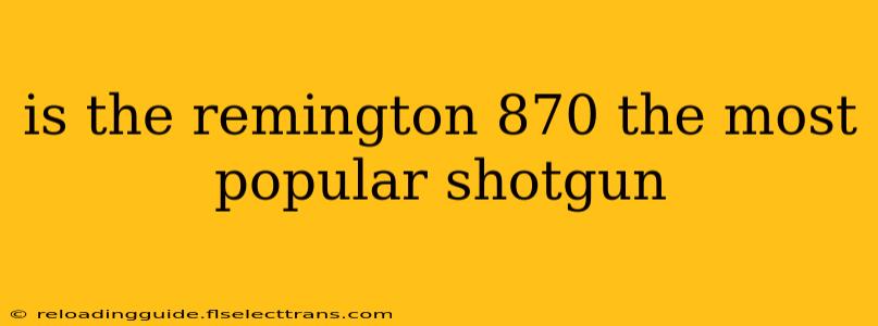 is the remington 870 the most popular shotgun