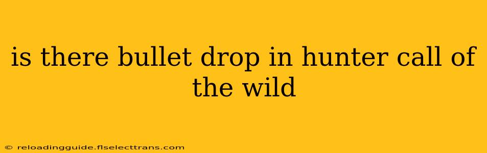 is there bullet drop in hunter call of the wild