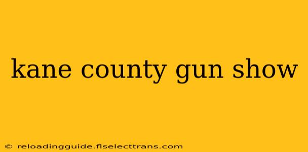 kane county gun show