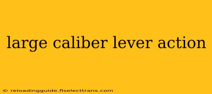 large caliber lever action