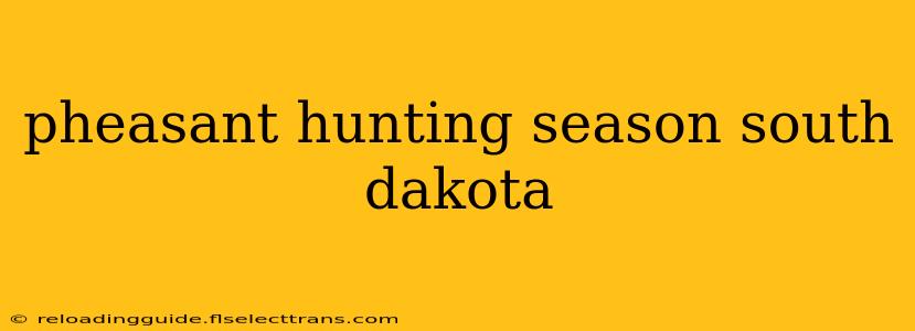 pheasant hunting season south dakota