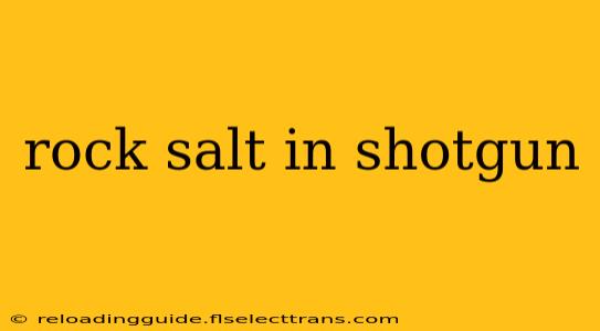 rock salt in shotgun