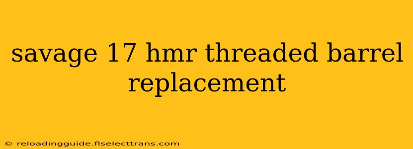 savage 17 hmr threaded barrel replacement