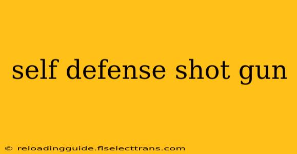 self defense shot gun