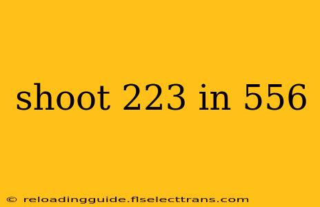 shoot 223 in 556