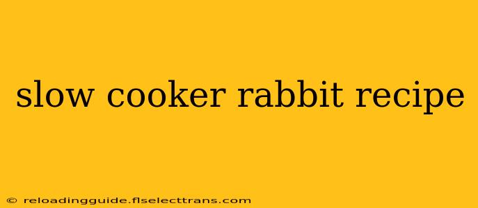 slow cooker rabbit recipe