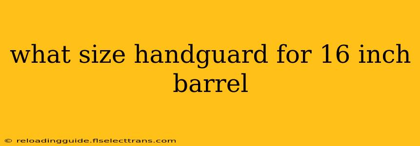 what size handguard for 16 inch barrel