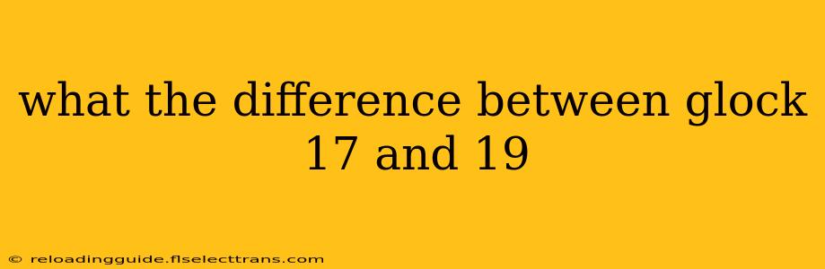 what the difference between glock 17 and 19