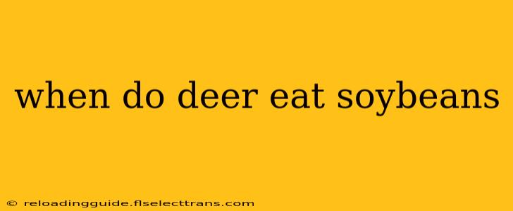 when do deer eat soybeans