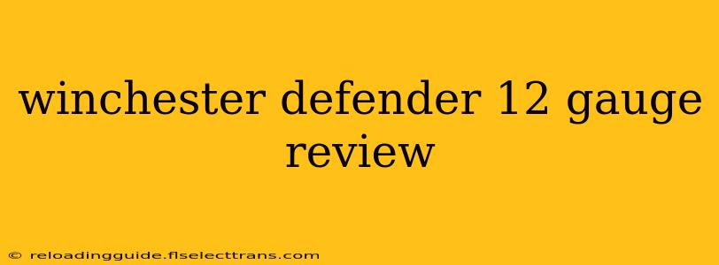 winchester defender 12 gauge review