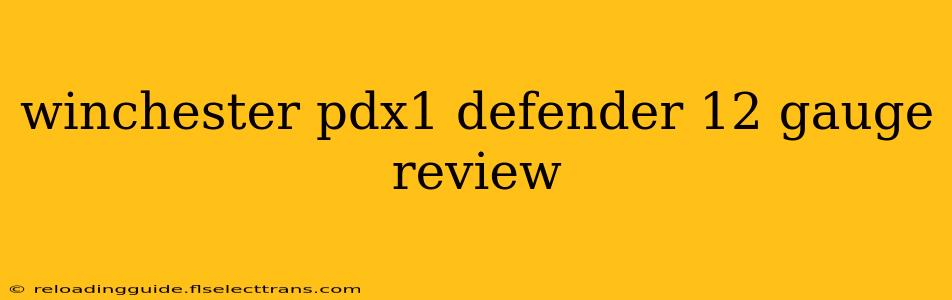 winchester pdx1 defender 12 gauge review